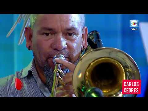 Cicatrices            Canta Chico Martin