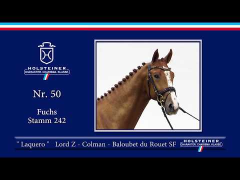 Holsteiner Körlot 2018 | Nr. 50 - LAQUERO v. Lord Z - Colman