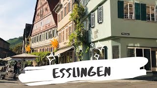 Сказочный Esslingen: фахверк, замок и виноградники