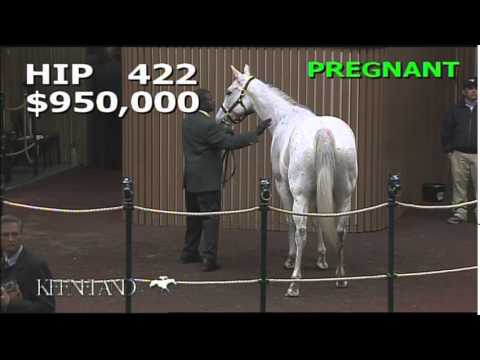 2014 November Breeding Stock Sale: Hip 422 - Strawberrydaiquiri (GB)