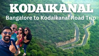 Bangalore to Kodaikanal Road Trip by Car I Best Hill Station of South India I Mountains & Beaches