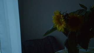 Joanna Brouk — Majesty Suite: Entrance Of The Queen Of Winter Dawn