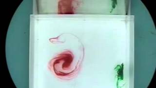 Experiment 0: Rotating Fluids 2