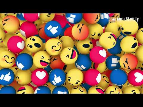 Z'Sel Muhabbetler 1. Bölüm