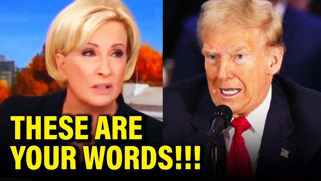 Fed-up Morning Joe host TORCHES Trump in MERCILESS TAKEDOWN