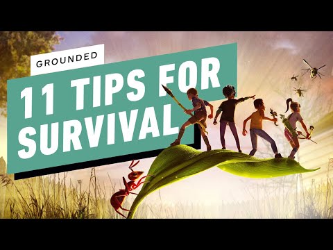 11 Tips for Surviving Grounded