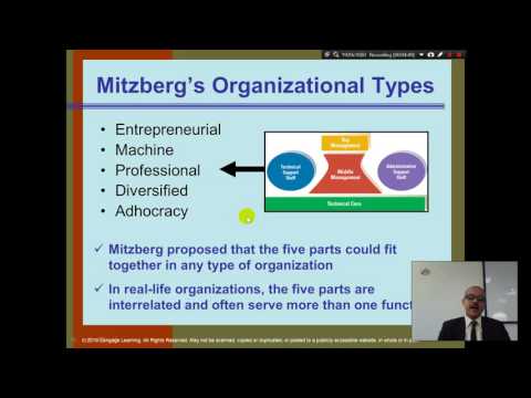 Organization Theory and Design Daft Chapter 1 Part 1 Introduction