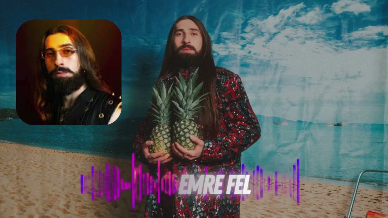 Emre Fel