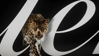Cartier and the Panther: Magnetism in the Air
