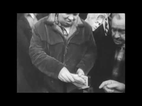 Husmanskost - My Life Is Hell