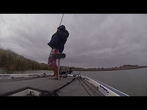 GoPro: Jeff Carpenter - Best Catch 5.29.15 - Fish