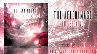 The Afterimage - The Seeking ( Famined Records )