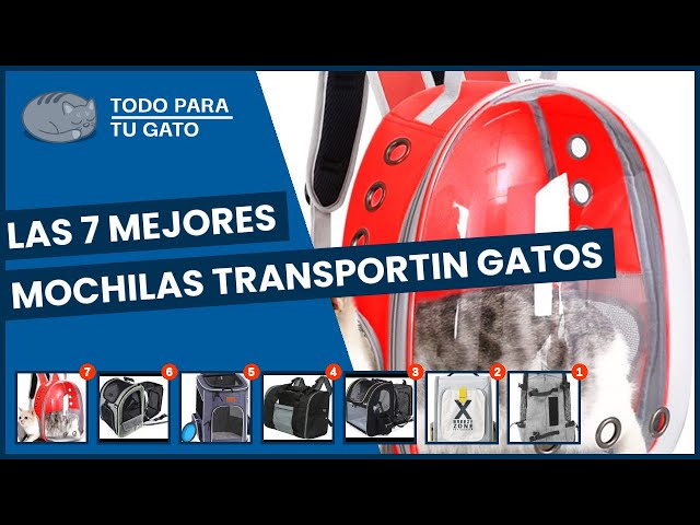 Vídeo relacionado con HOBBIESAY Broche de gato de dibujos animados con diseño de gatos blancos y negros, broches esmaltados de aleación para bolsos, chaquetas, mochilas, ropa, S, Aleación y esmalte