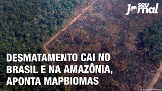 Miniatura do vídeo