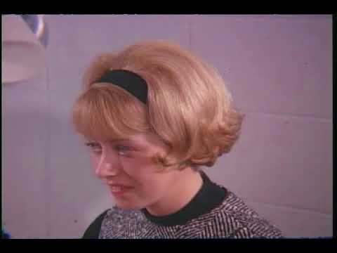 Bridge to tomorrow: a reflection of higher education outtakes, 1966-1967