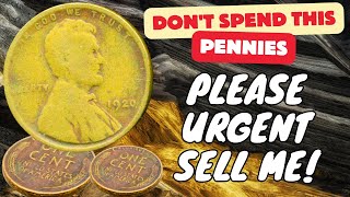Most Expensive Penny in The World! Rare Pennies Worth Money in Cirulation 2024 #getrichquick