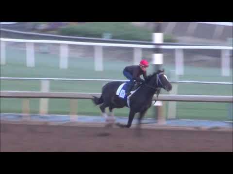 Shivermetimbers 3/31/18 Santa Anita