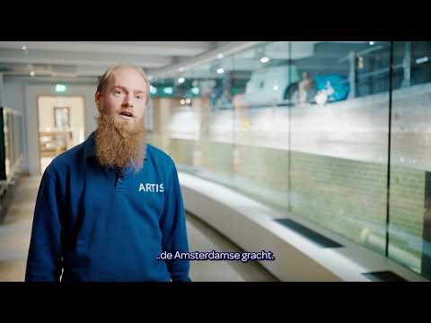 De Amsterdamse gracht van de toekomst 🐠