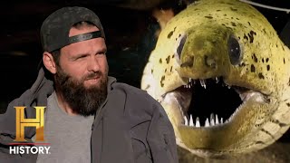 ELECTRIFYING EEL BITES | Kings of Pain (Season 2) | History