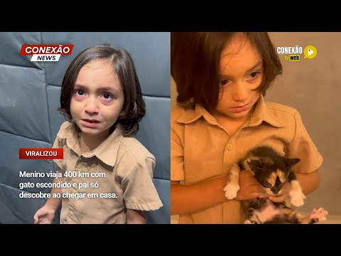 Vídeo: Menino viaja 400 km com gato escondido e pai só descobre ao chegar em casa.