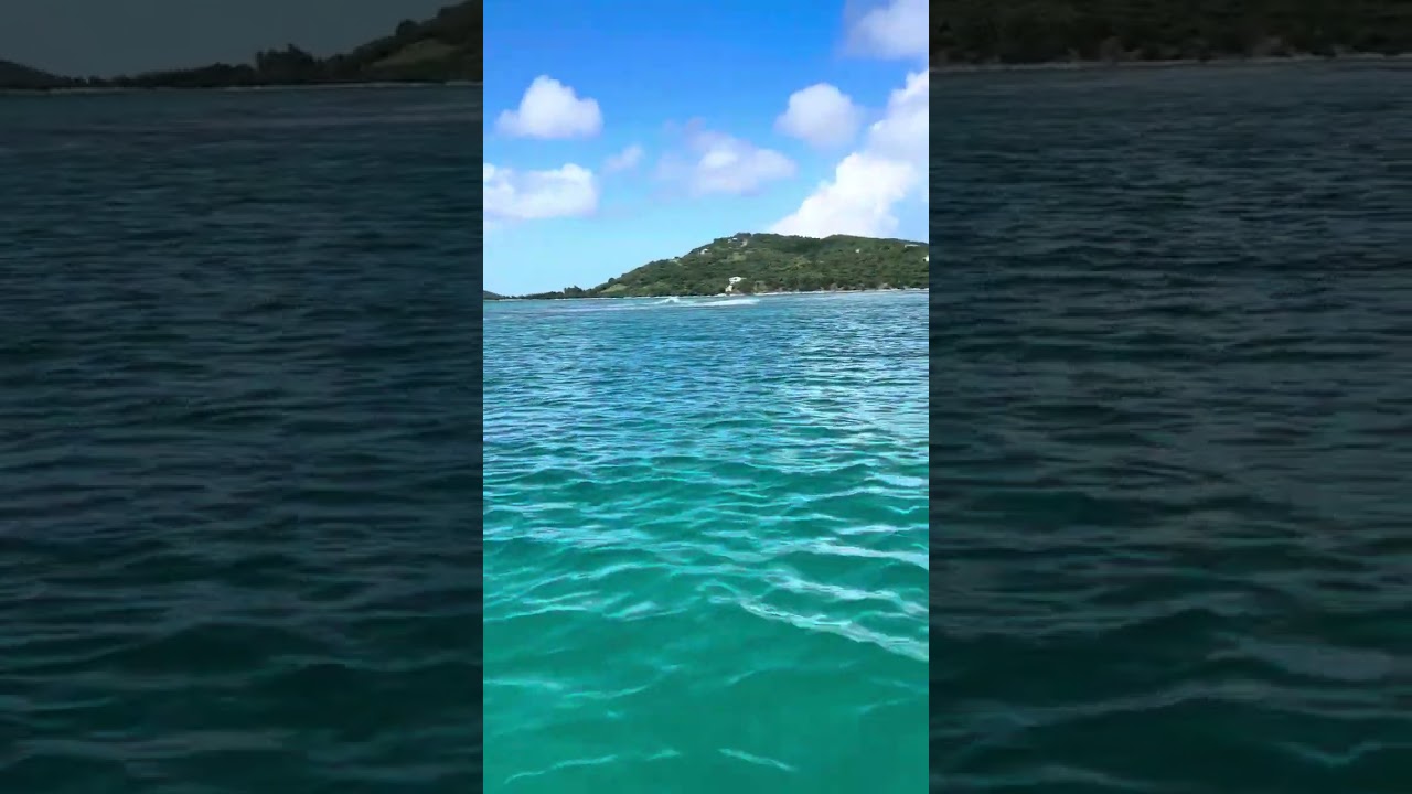 Video YouTube