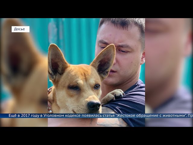 Расплата за жестокость