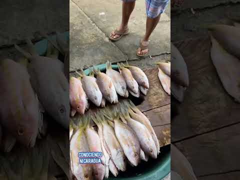 Bluefields_Nicaragua