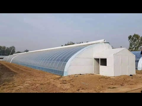 China Passive In-solar Greenhouse