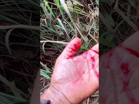 O dia em que a Transamazônica decidiu testar nossos limites! #br230 #medicilandia #para