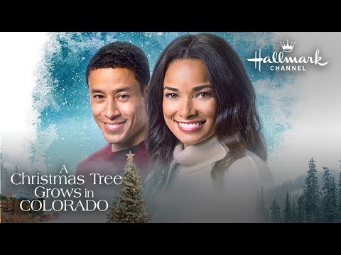 Uma árvore de Natal cresce no Colorado Trailer
