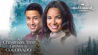 Preview - A Christmas Tree Grows in Colorado - Hallmark Channel