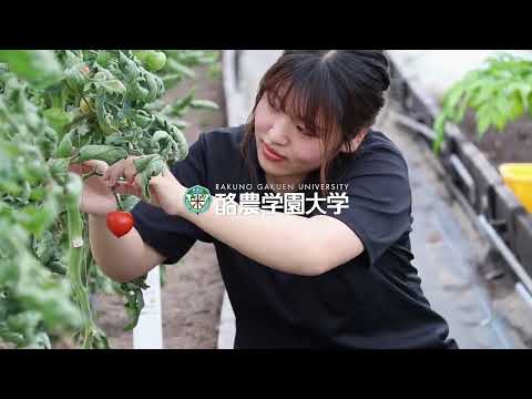 先端経営学科 酪農学園大学　キャンパス内の四季の様子