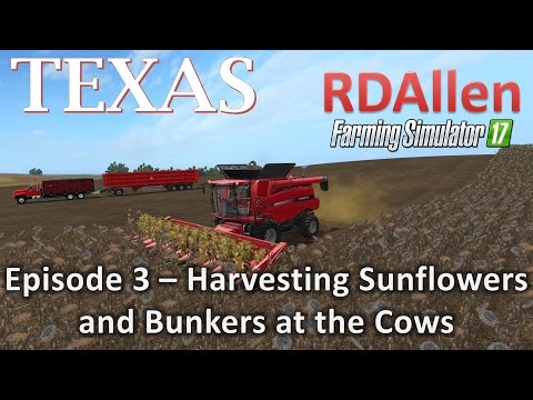 Farming Simulator 17 MP Texas E3 - Harvesting Sunflowers