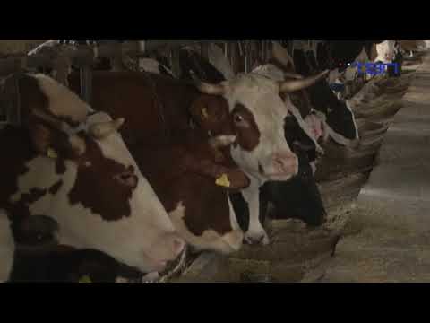 Dokazi obmane lažnih žrtava: Protesti poljoprivrednika isključivo politički - TV Pančevo