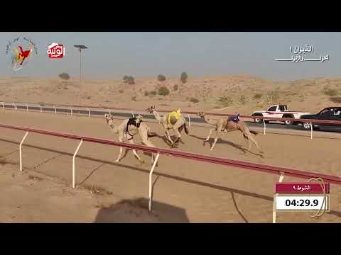  ش 9 (مجمل) لـ أحمد سلطان بالرشيد السويدي 8:16 , شارة الديوان 1 2026/09/20 حول زمول اللبسه  