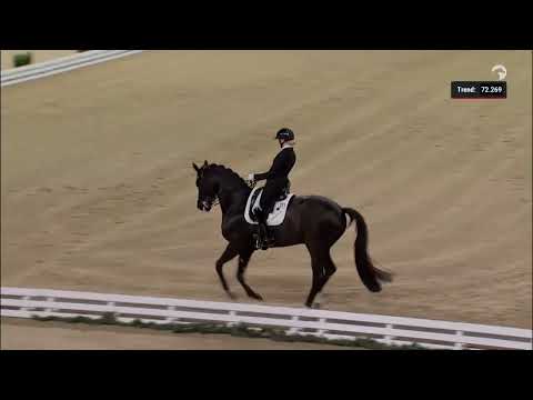 Preis der Firma Stihl