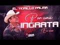 Por Una Ingrata - El Tigrillo Palma (En Vivo)