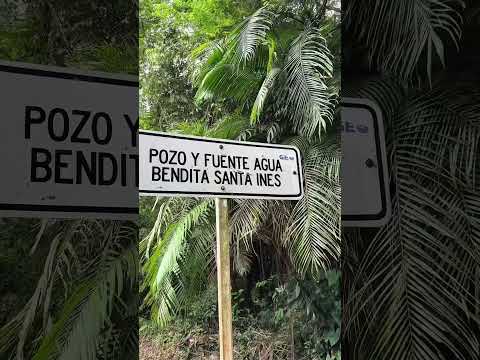 Historias de San Marcos Sucre parte # 4￼