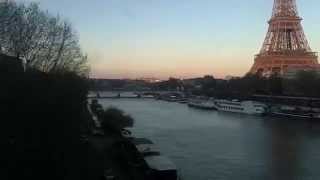 REQUIN TIGRE - FAUVE (clip non officiel)