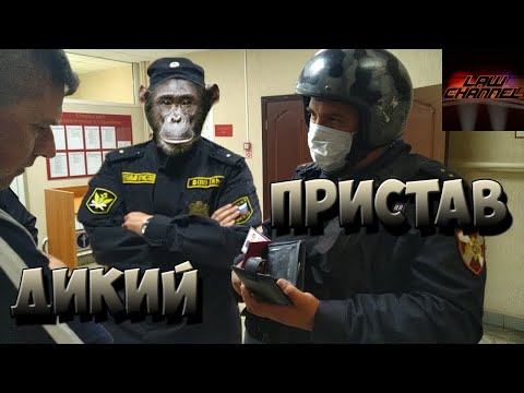 РОСГВАРДИЯ VS ЧЕЛОВЕК или нападение дикого пристава (От студента!)