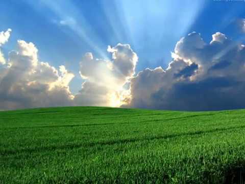 BLUE ROMANTIC TAM GDZIE SĄ ŁĄKI ZIELONE