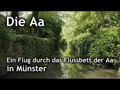 Die Aa in Münster | Flug durch das Flussbett vom Kreuzviertel bis zum Aasee
