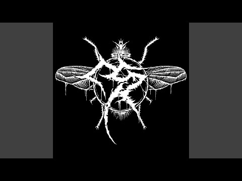 Benign (feat. Devin Shidaker)