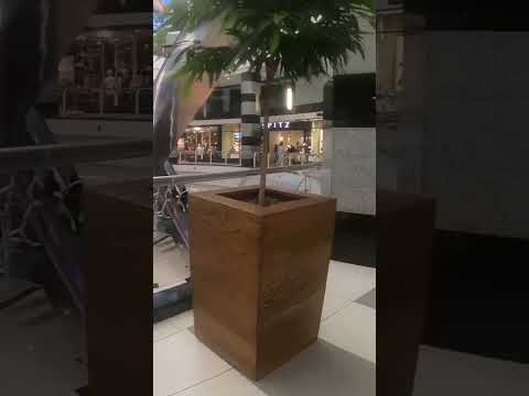 That bridge inside mall is insane(menlymall  SouthAfrica) #shorts #viralvideos