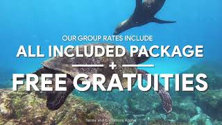 🎉 Discover Exclusive Cruise Deals with Celebrity Cruises & Cruiser Travels!