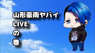 自由時間　山形豪雨ヤバイ💦