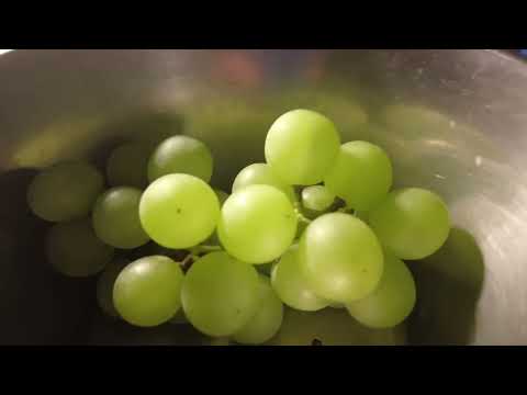 MongoTV_7023 - HVAD JEG SER PÅ NETFLIX - Del 550 - Star Trek - 1968