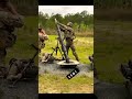 Para Commando Training New Song Army Song Shorts Attitude