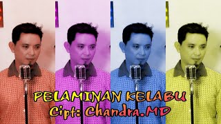 Download lagu PELAMINAN KELABU.Mansyur.s(Cover By Safar kdi) mp3