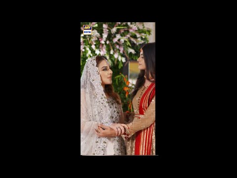 Teri Rah Mein  BEST SCENE  Zainab Shabbir  Shazeal Shoukat 